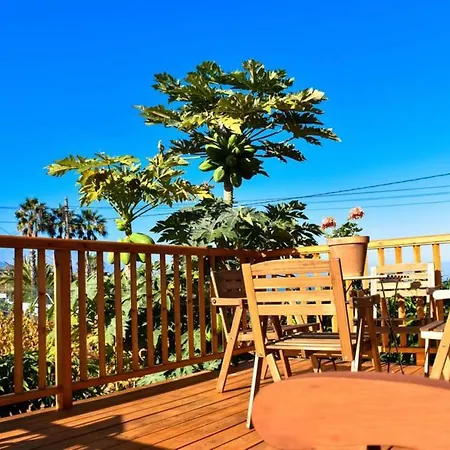 Charming House In Icod De Vinos With Garden 70 M² איקוד דה לוס וינוס