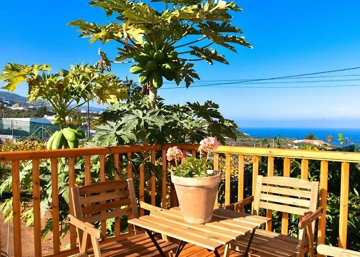 Charming House In Icod De Vinos With Garden 70 M² Dom wakacyjny Icod De Los Vinos