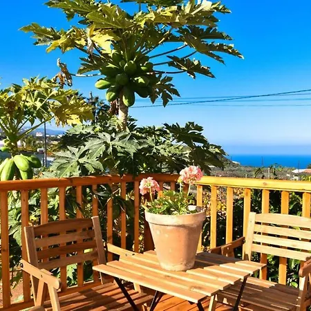 Charming House With Sea View Icod De Vinos Bbq Semesterbostad Icod De Los Vinos