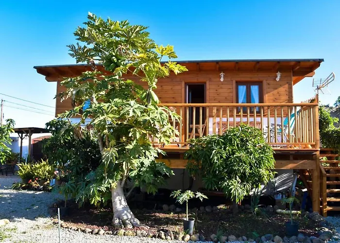 Charming House In Icod De Vinos With Garden 70 M² Icod De Los Vinos