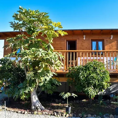 Charming House In Icod De Vinos With Garden 70 M² 伊科德·德·洛斯·维诺斯