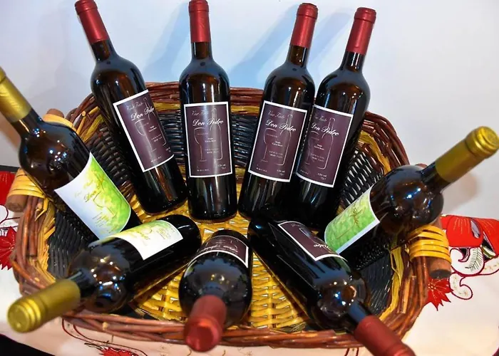 度假居 Charming House In Icod De Vinos With Garden 70 M²